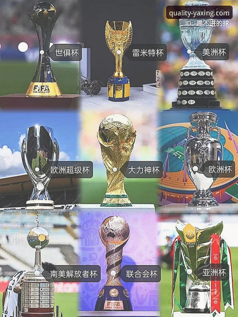 亚星客车价格表 阿根廷世界杯征程背后的战术密码与意外变量